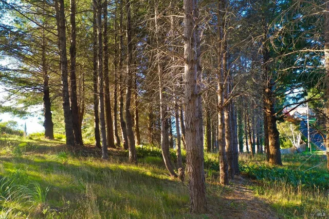 $75,000 | 7 Seaview Point, Whitethorn, CA 95589