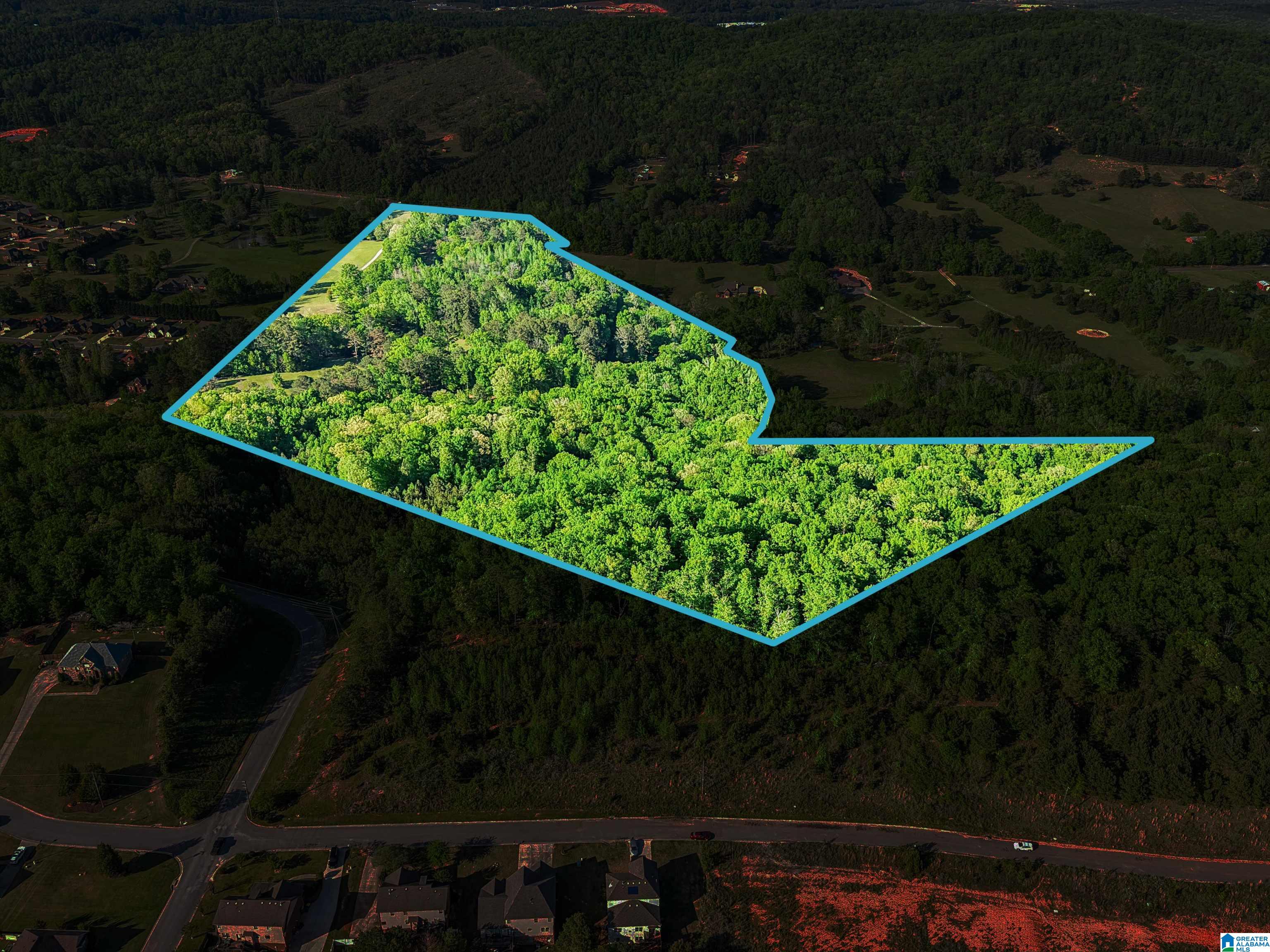 1680 Highway 174 Springville, AL 35146 - Photo 39 of 97
