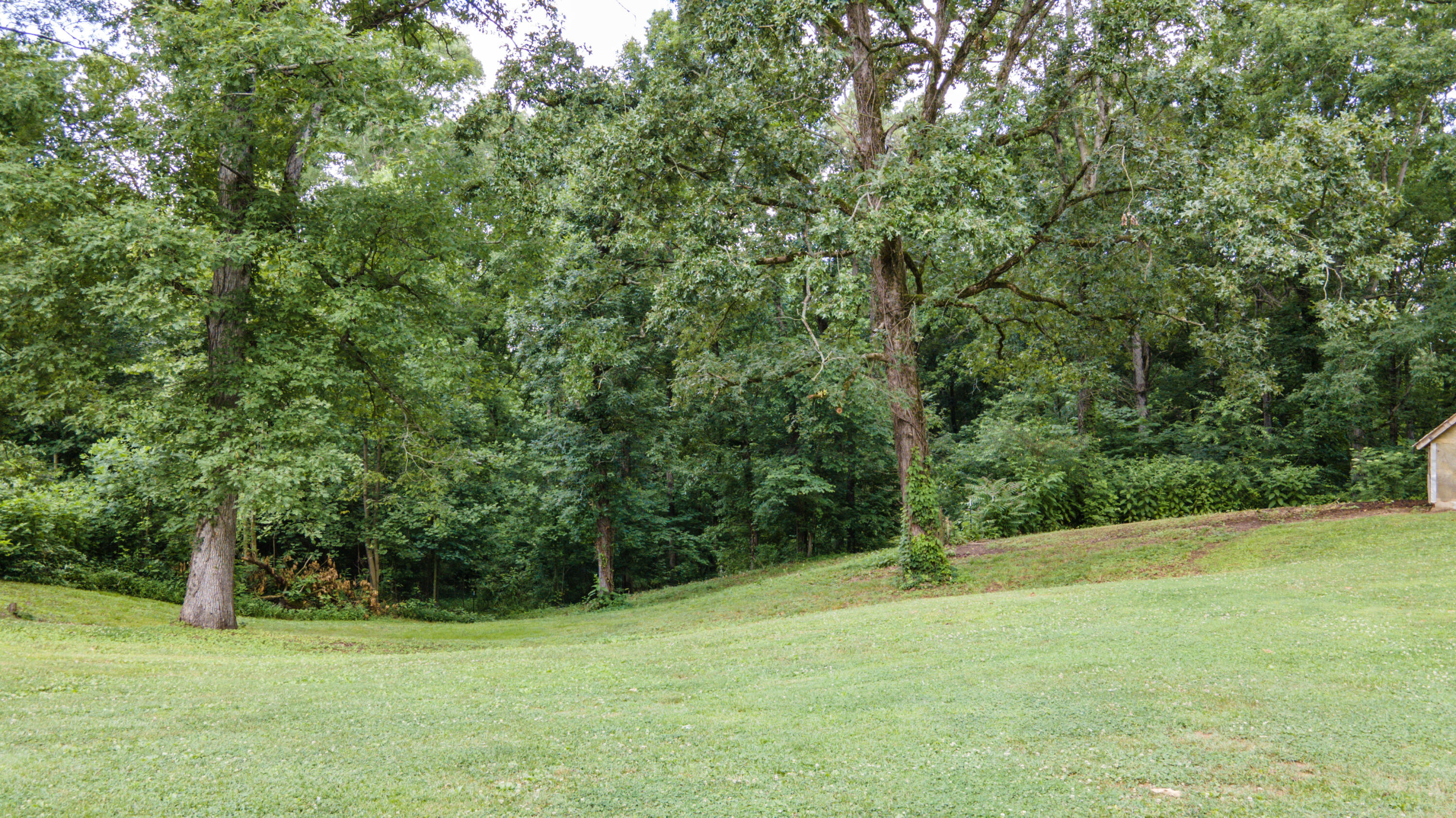 848 Carson Road Southeast Cleveland, TN 37323 - Photo 54 of 61 55-DJI_0039