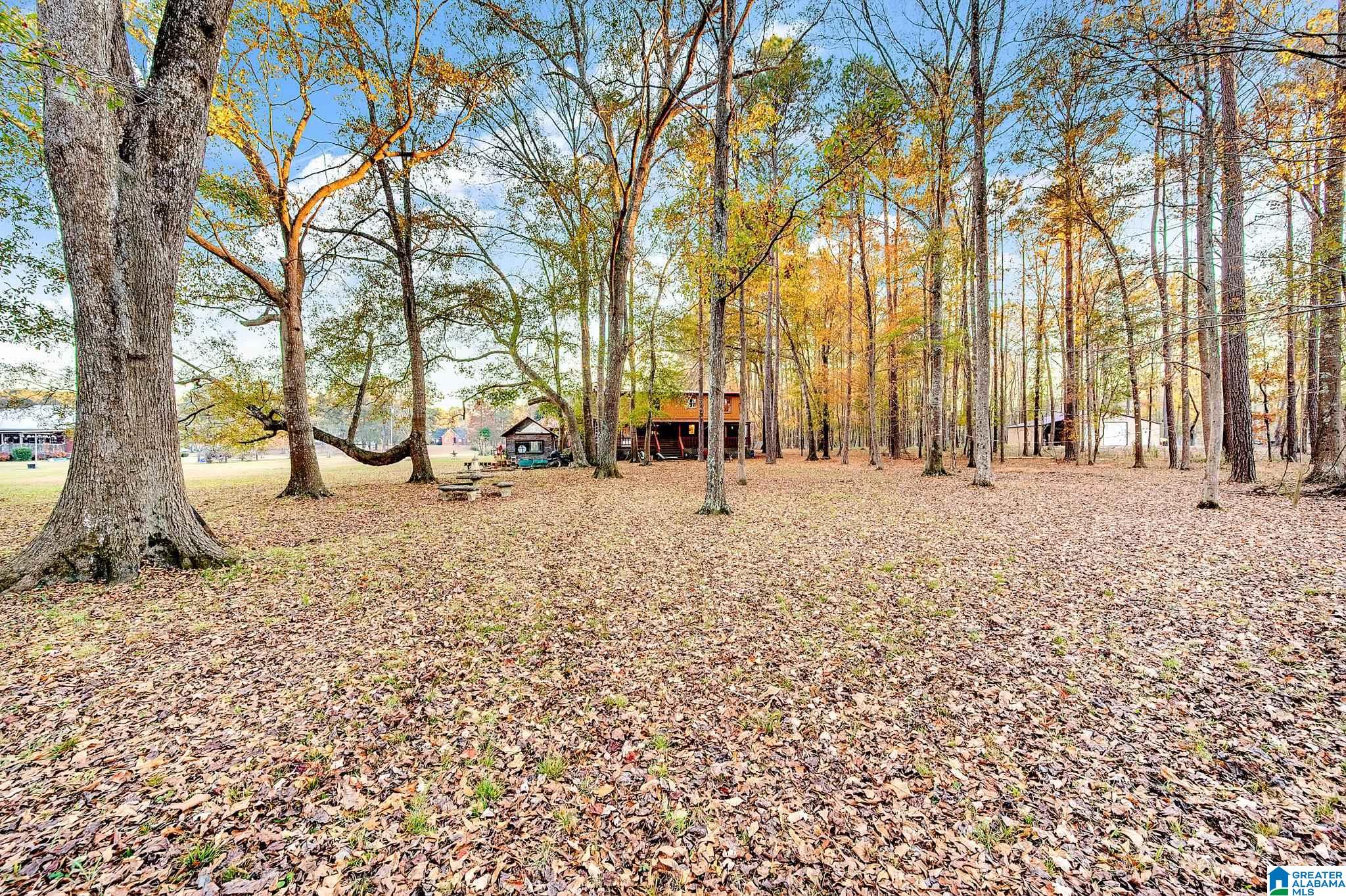 135 River Run Road Childersburg, AL 35044 - Photo 29 of 40