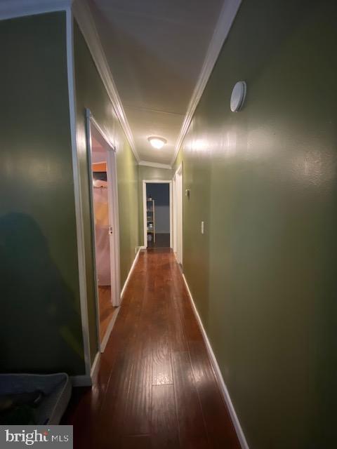 5131 Sailfish Drive Eden, MD 21822 - Photo 23 of 23