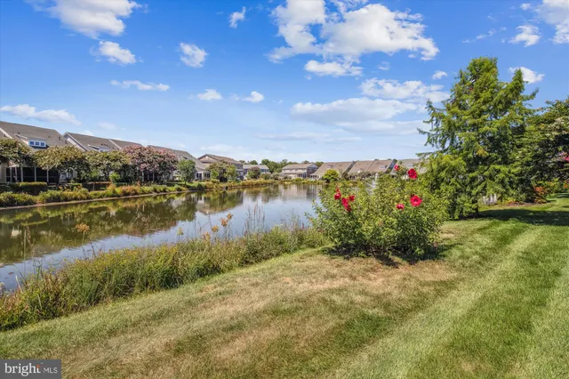 a view of a lake with houses in the back