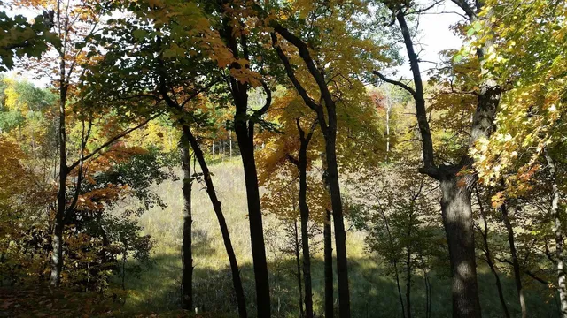 $175,000 | 893 White Clover Beach Road, Detroit Lakes, MN 56501