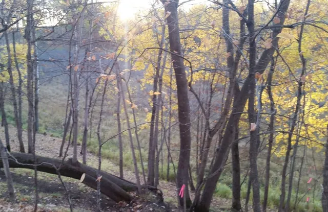 $175,000 | 893 White Clover Beach Road, Detroit Lakes, MN 56501