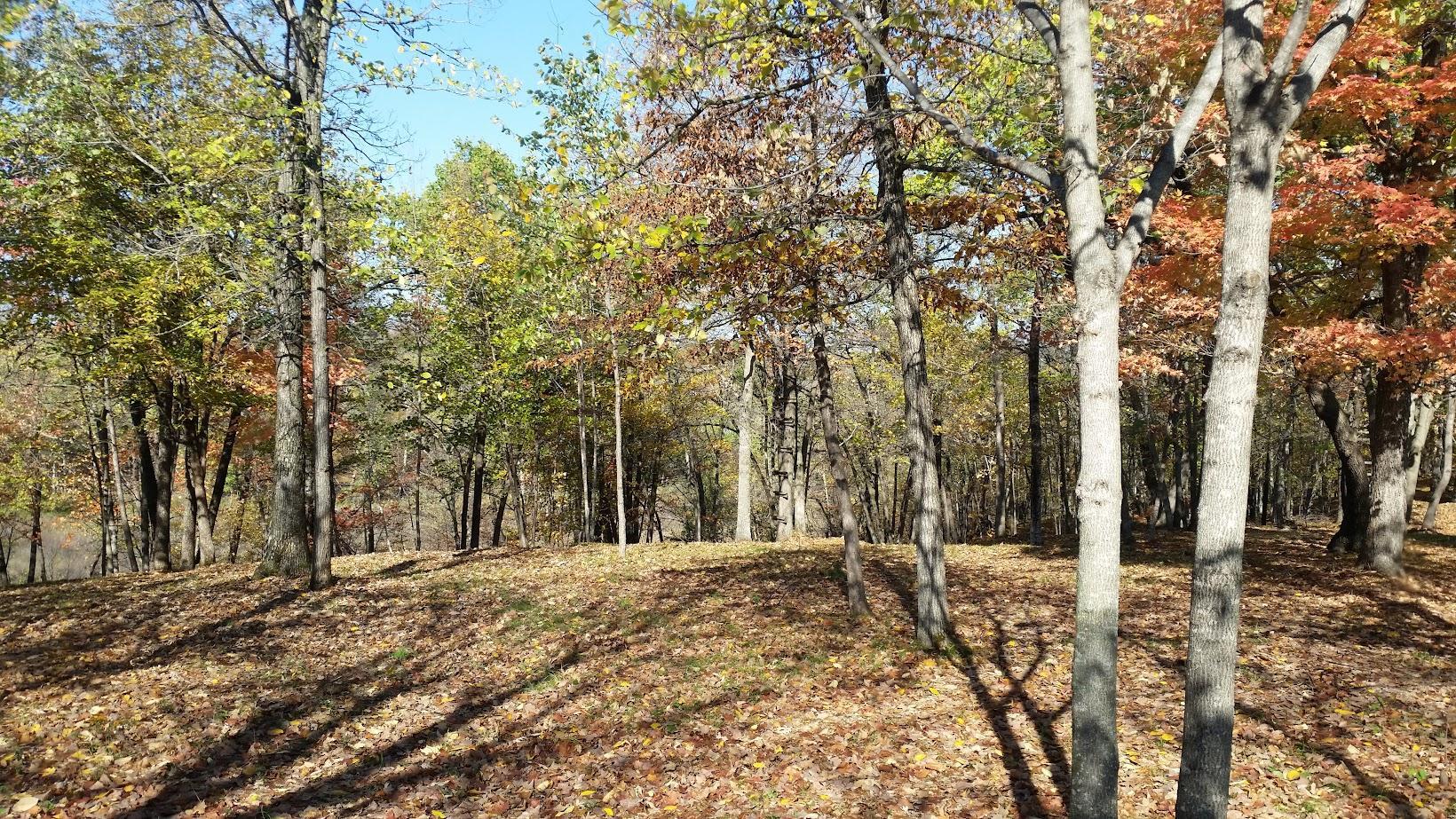 893 White Clover Beach Road Detroit Lakes, MN 56501 - Photo 9 of 13