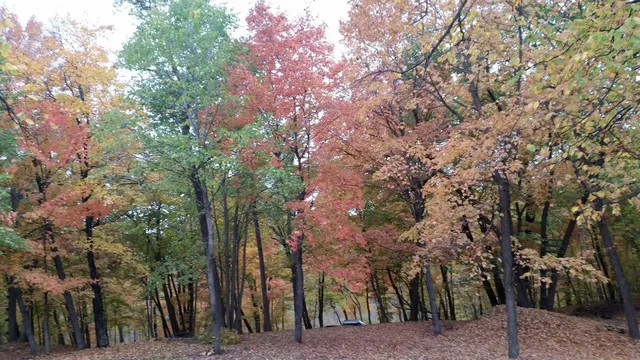 $175,000 | 893 White Clover Beach Road, Detroit Lakes, MN 56501