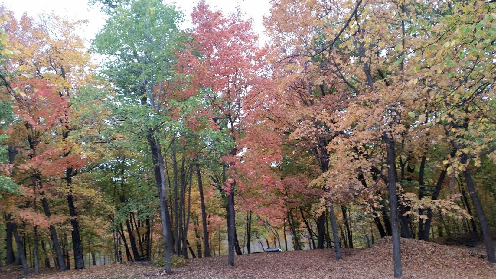 893 White Clover Beach Road Detroit Lakes, MN 56501 - Photo 10 of 13