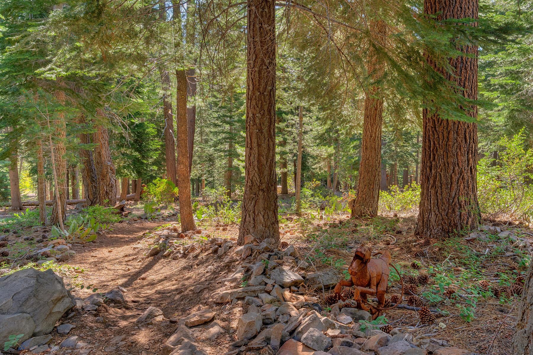 11511 Baden Road Truckee, CA 96161 - Photo 25 of 28 a backyard of a house with lots of green space