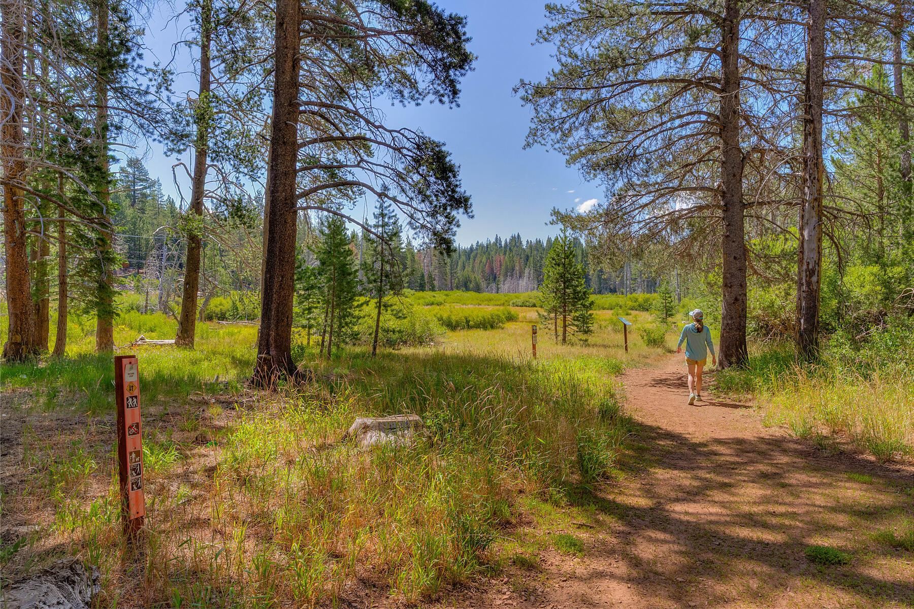 11511 Baden Road Truckee, CA 96161 - Photo 26 of 28 a view of a yard with swimming pool