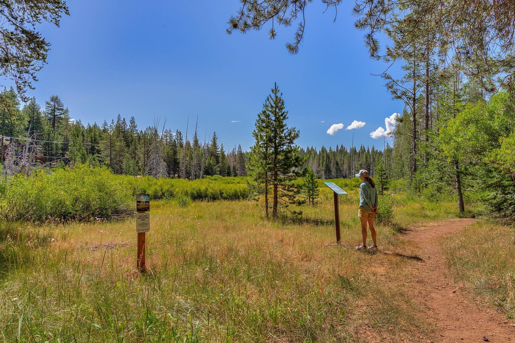 11511 Baden Road Truckee, CA 96161 - Photo 27 of 28 a view of a park with large trees