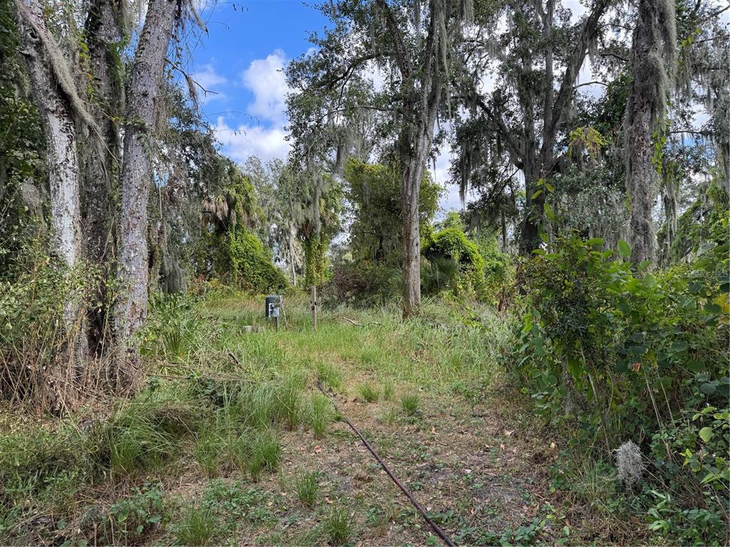 3721 Porter Road Lithia, FL 33547 - Photo 3 of 10 a view of outdoor space and green space
