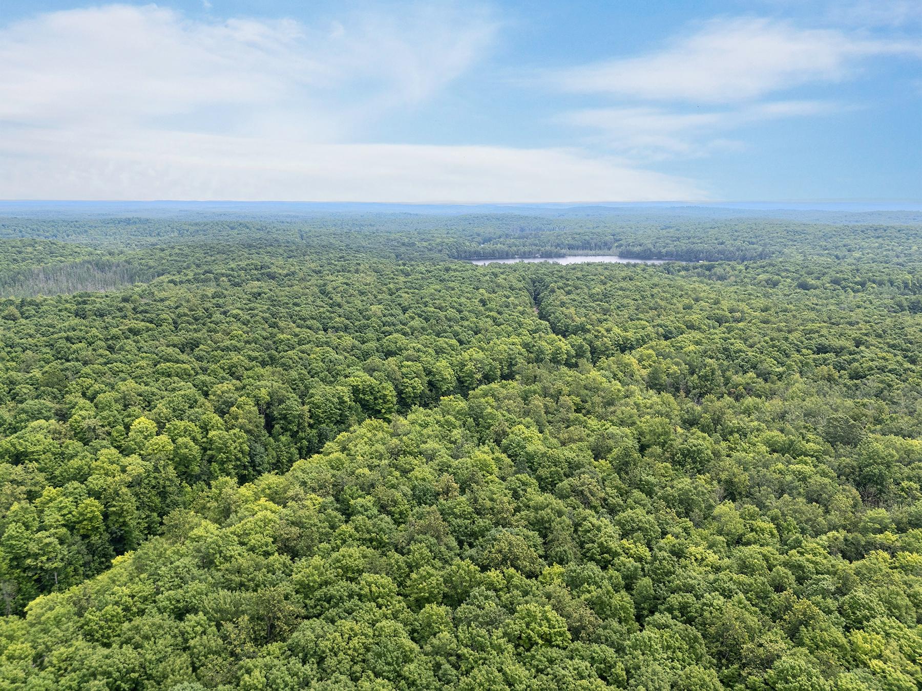 Lot 16 Sand Lake Road Crandon, WI 54520 - Photo 18 of 28 Gallery Image 18