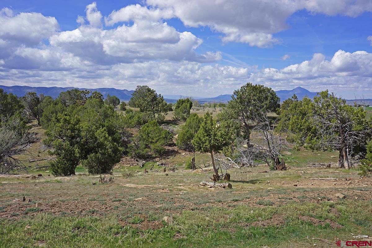 32718 Rd P Mancos, CO 81328 - Photo 12 of 33
