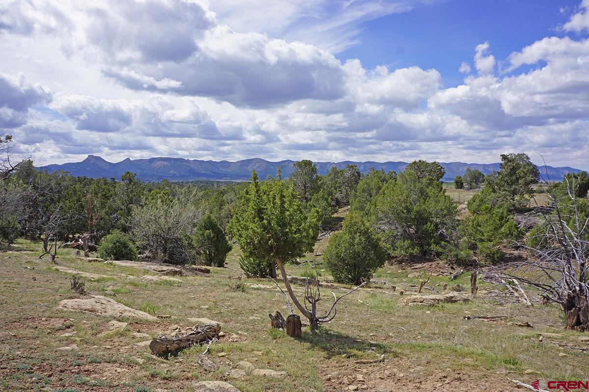 32718 Rd P Mancos, CO 81328 - Photo 13 of 33