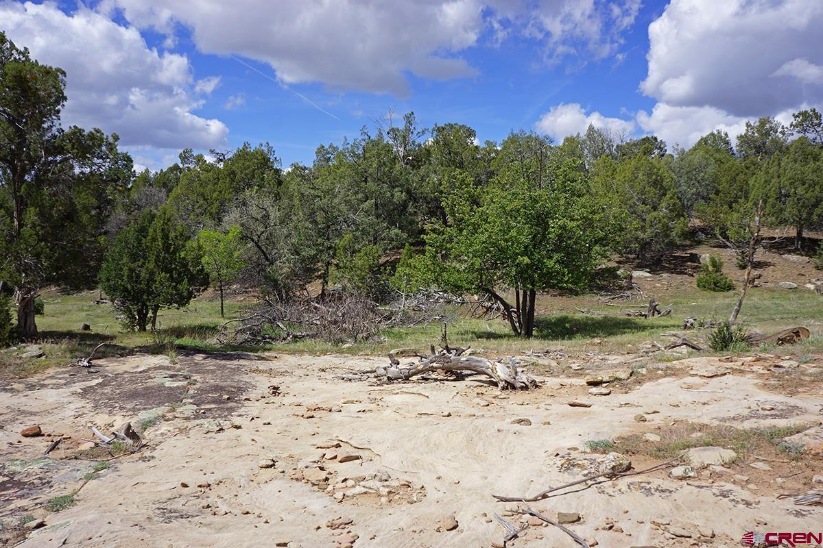 32718 Rd P Mancos, CO 81328 - Photo 14 of 33