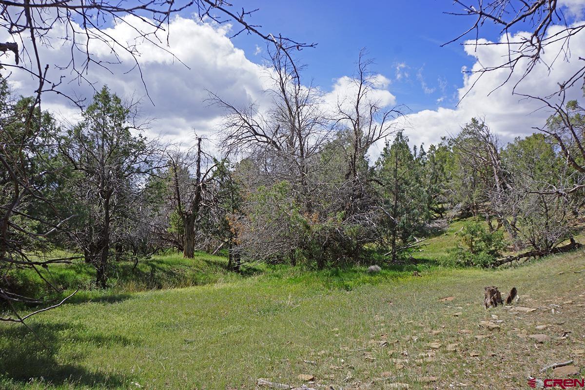 32718 Rd P Mancos, CO 81328 - Photo 15 of 33