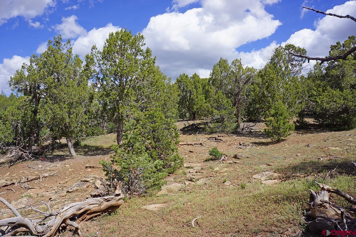 32718 Rd P Mancos, CO 81328 - Photo 17 of 33
