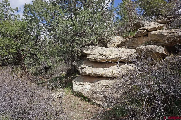 a view of a backyard of the house