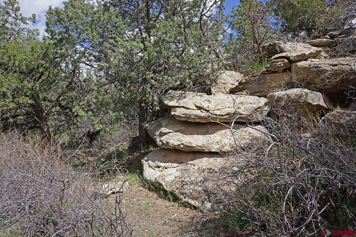 32718 Rd P Mancos, CO 81328 - Photo 18 of 33