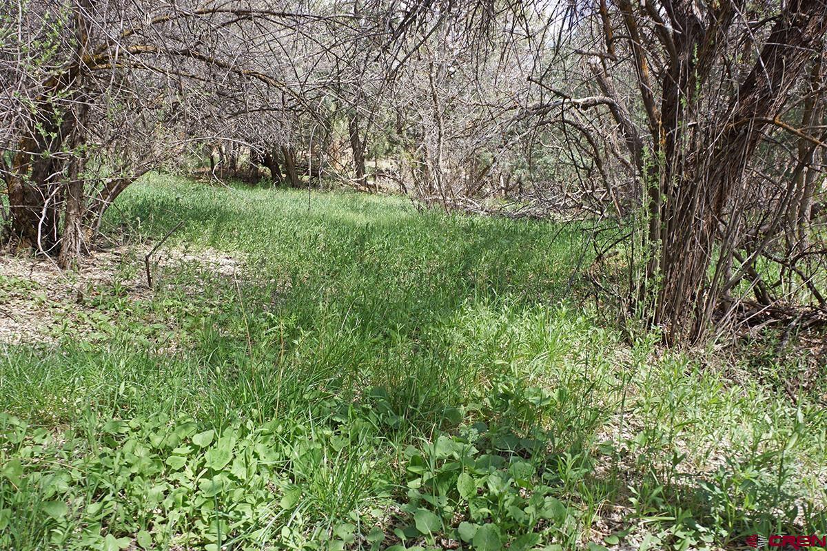 32718 Rd P Mancos, CO 81328 - Photo 19 of 33