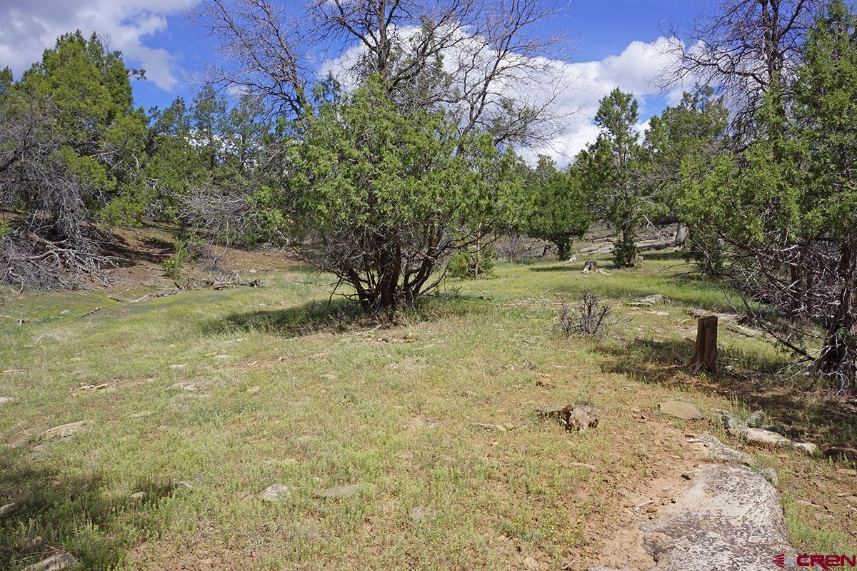 32718 Rd P Mancos, CO 81328 - Photo 21 of 33