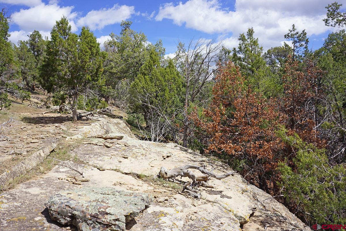 32718 Rd P Mancos, CO 81328 - Photo 24 of 33