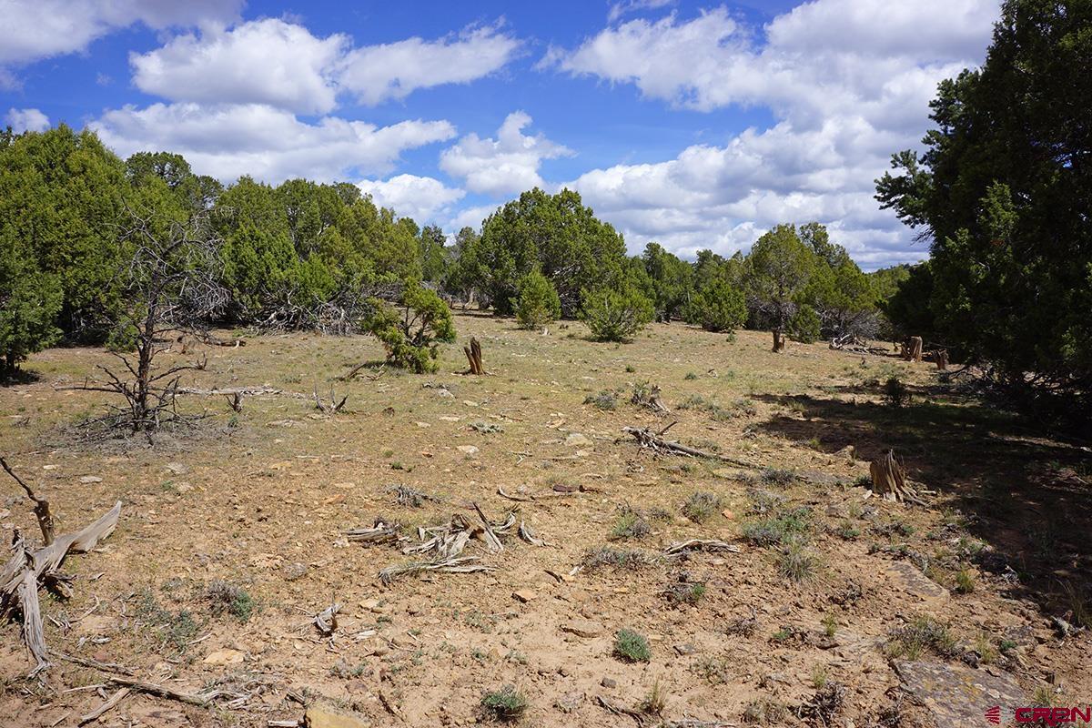 32718 Rd P Mancos, CO 81328 - Photo 25 of 33