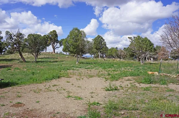 a view of a park