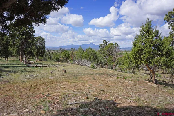 a view of outdoor space with trees all around