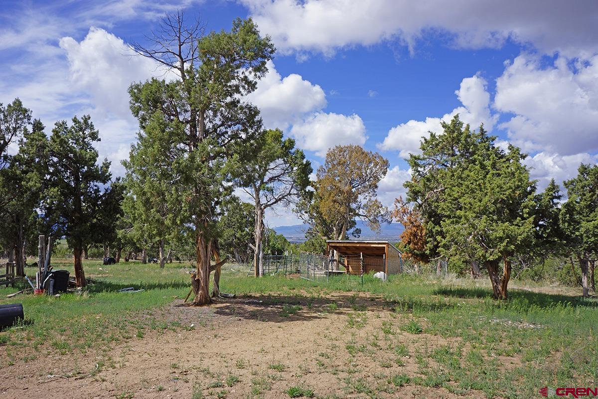 32718 Rd P Mancos, CO 81328 - Photo 7 of 33
