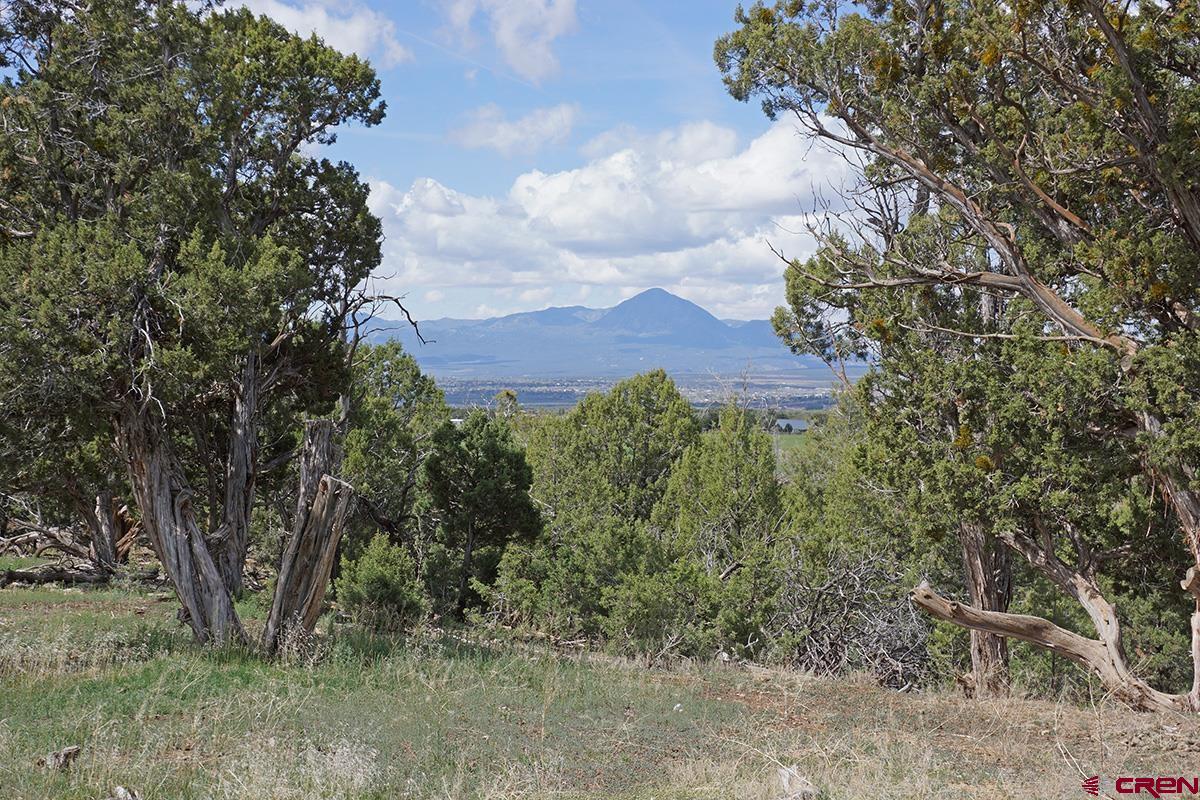 32718 Rd P Mancos, CO 81328 - Photo 8 of 33