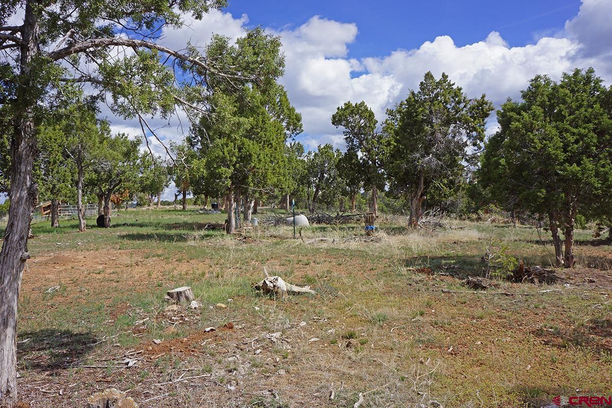 32718 Rd P Mancos, CO 81328 - Photo 10 of 33