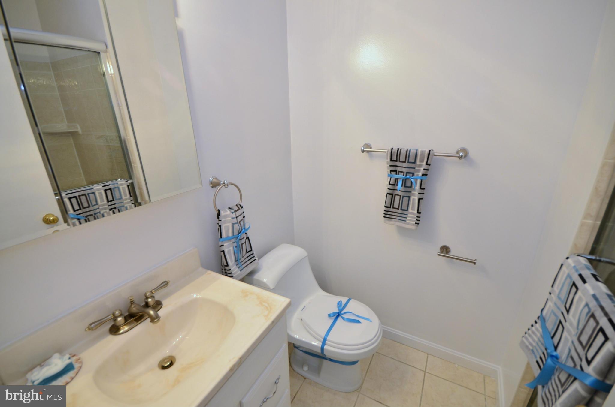 8620 Atwell Road Potomac, MD 20854 - Photo 18 of 30 Bath (Master)