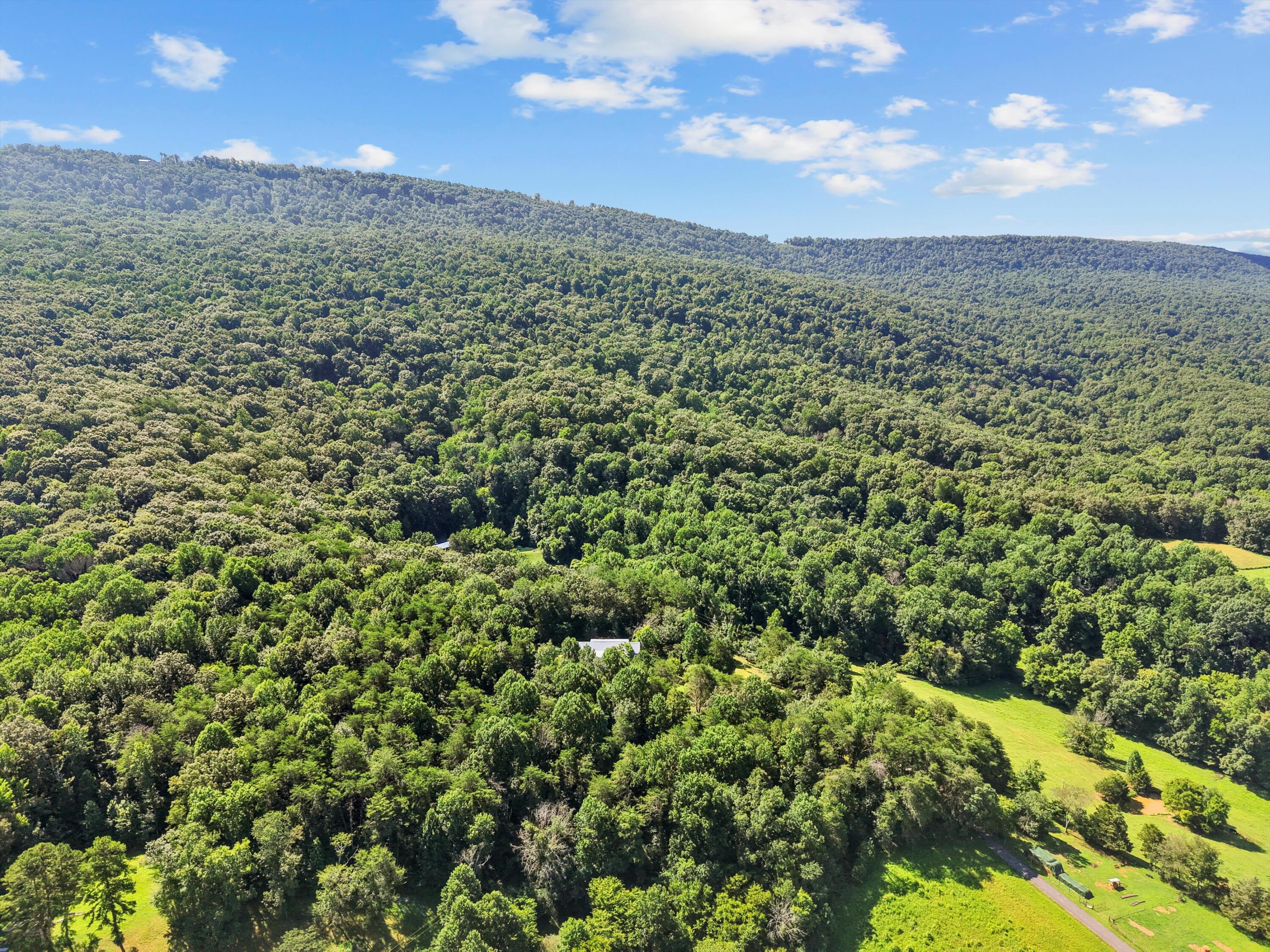 533 Gun Shop Road Dunlap, TN 37327 - Photo 23 of 52 45-DJI_20250714105608_0518_D