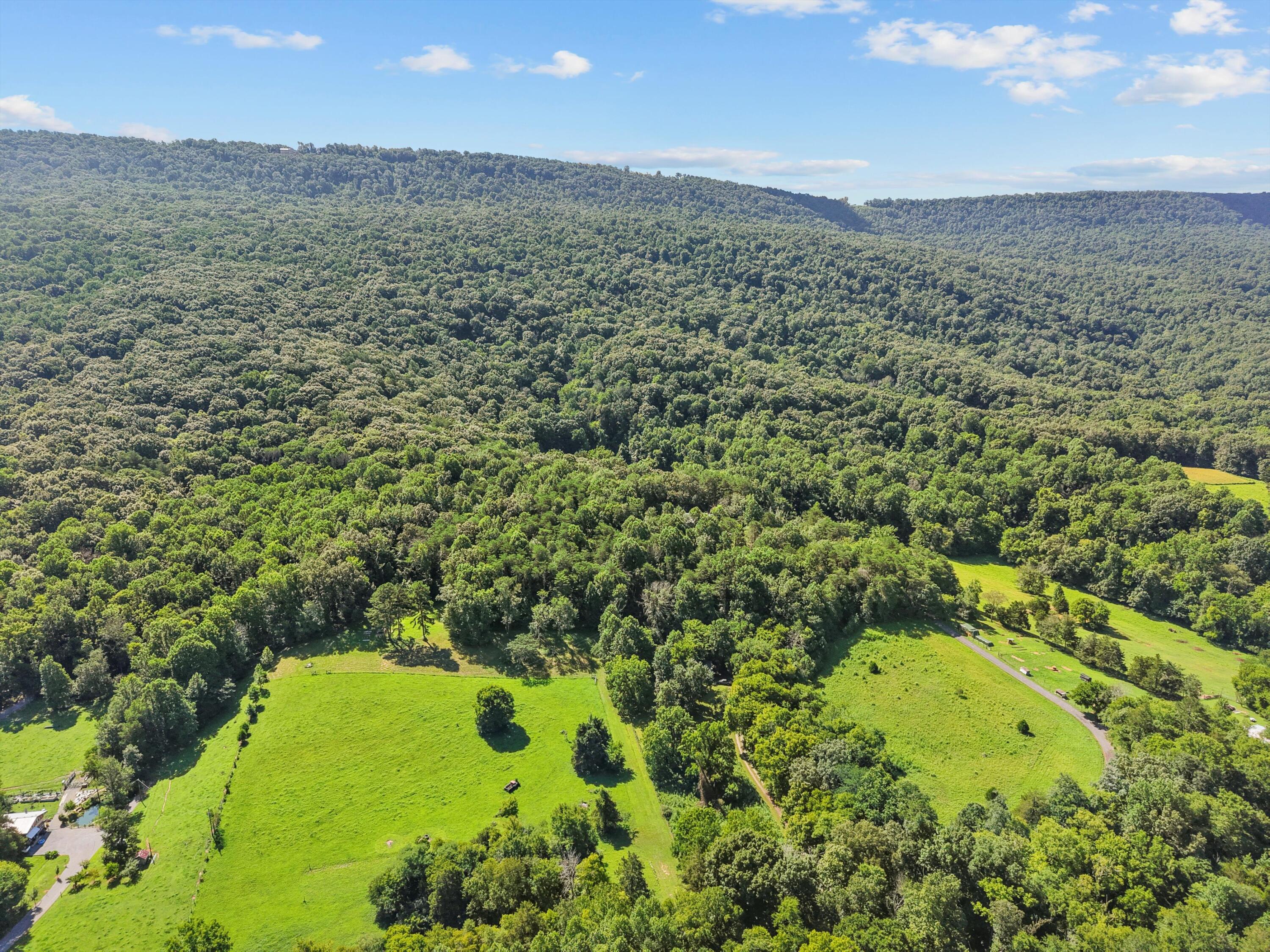 533 Gun Shop Road Dunlap, TN 37327 - Photo 29 of 52 48-DJI_20250714110043_0548_D