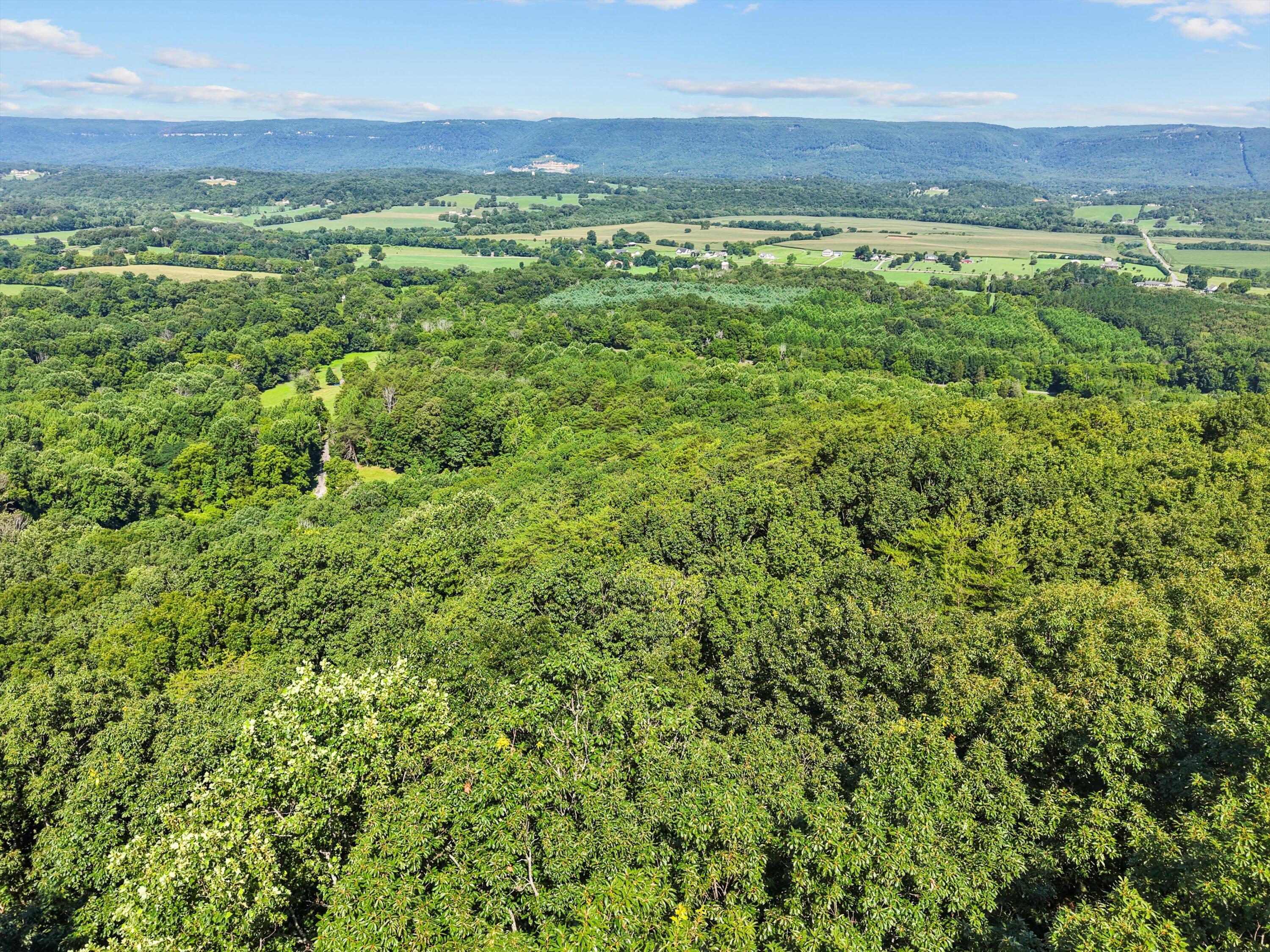 533 Gun Shop Road Dunlap, TN 37327 - Photo 30 of 52 49-DJI_20250714105825_0538_D