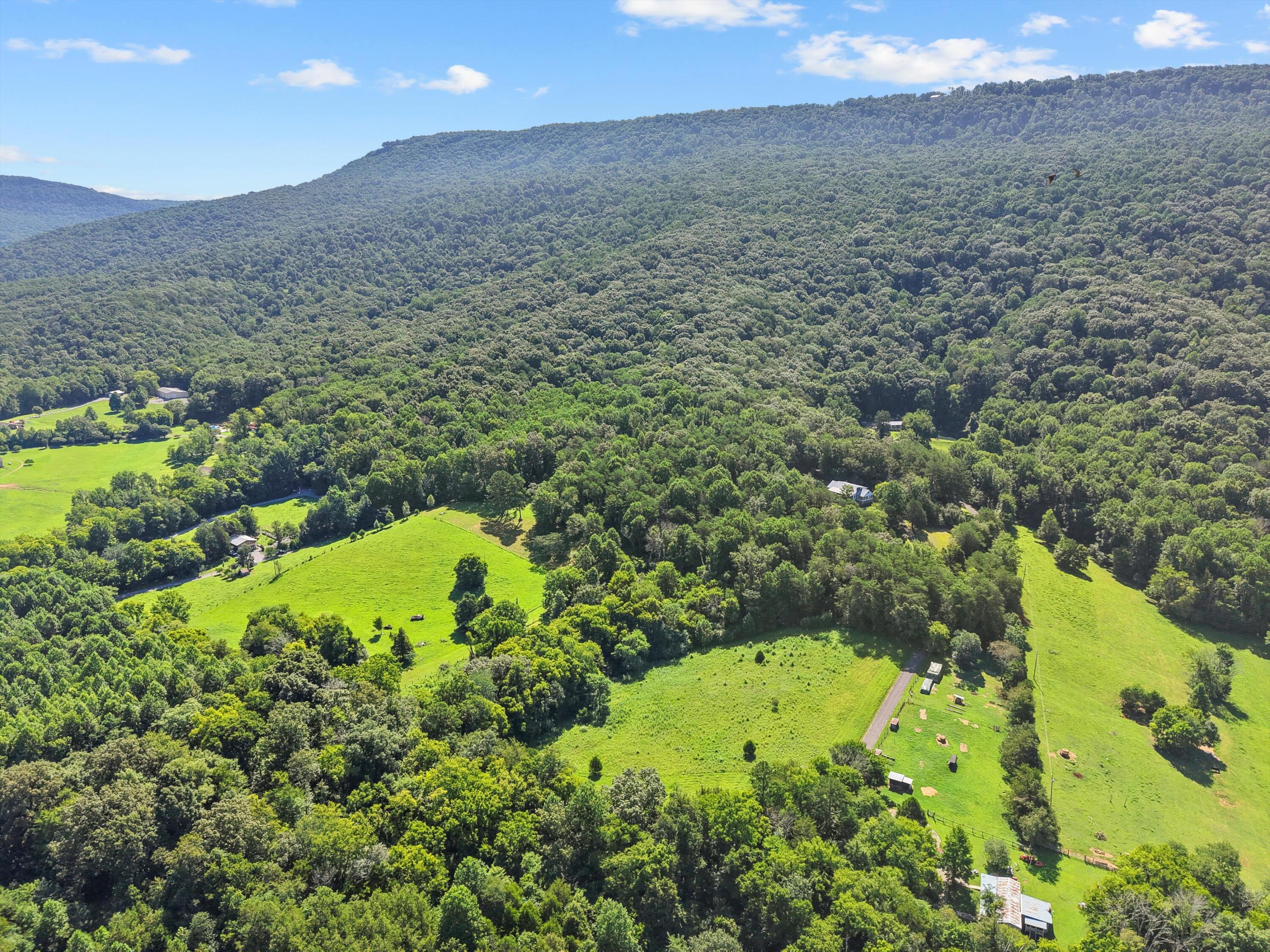 533 Gun Shop Road Dunlap, TN 37327 - Photo 32 of 52 51-DJI_20250714105657_0528_D