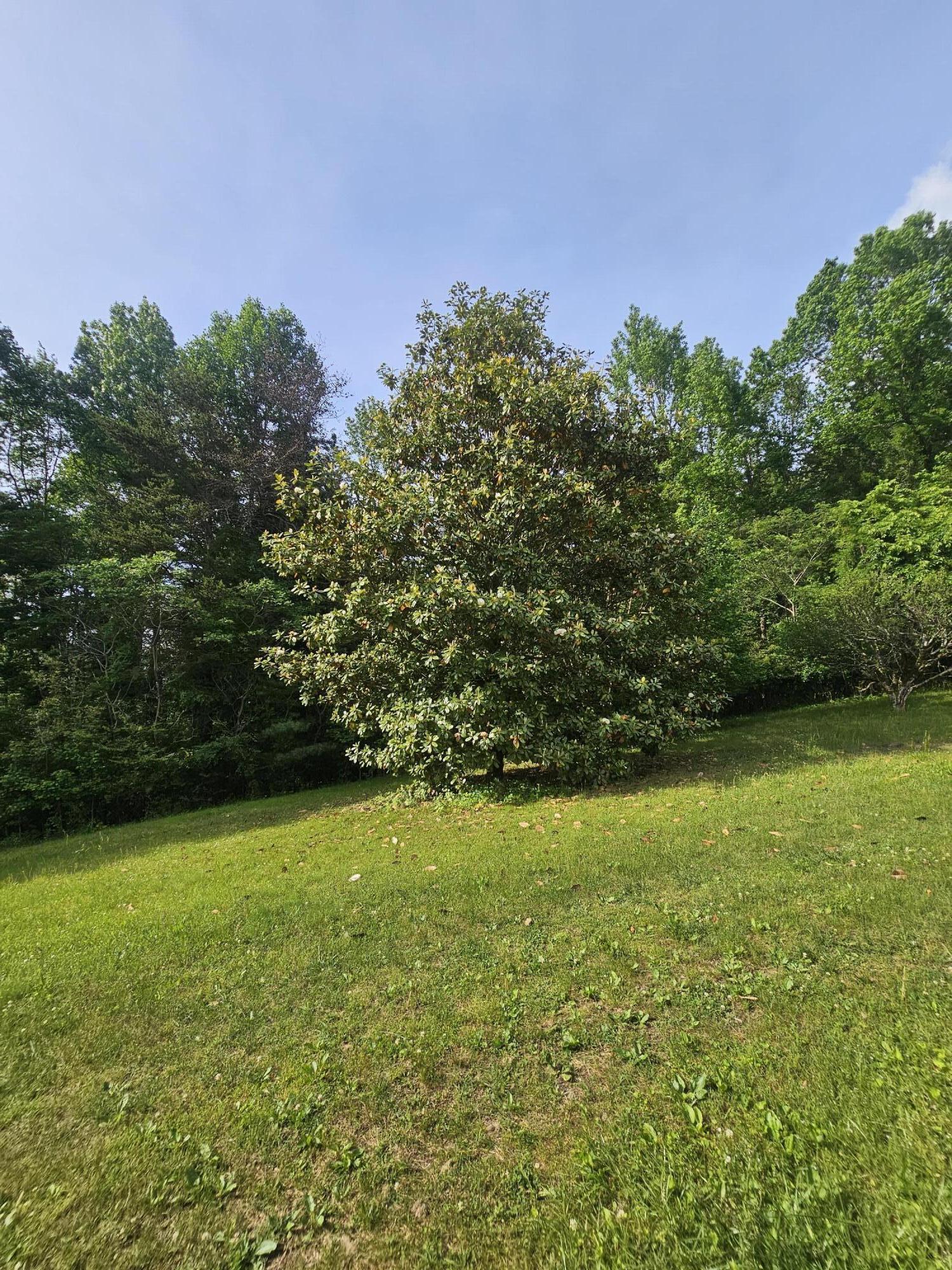 533 Gun Shop Road Dunlap, TN 37327 - Photo 45 of 52 20250509_164717