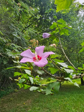 $749,000 | 533 Gun Shop Road, Dunlap, TN 37327