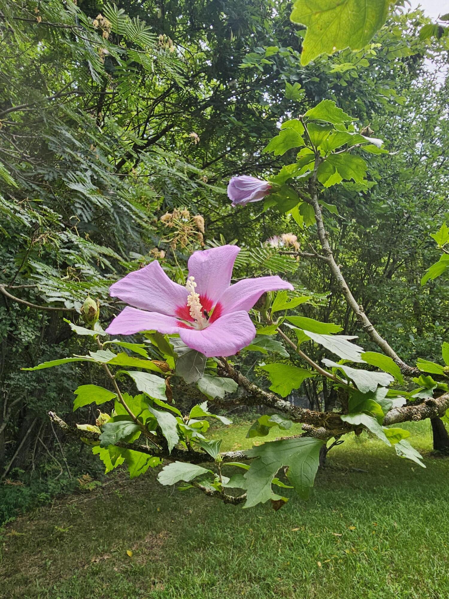 533 Gun Shop Road Dunlap, TN 37327 - Photo 47 of 52 20250709_122416