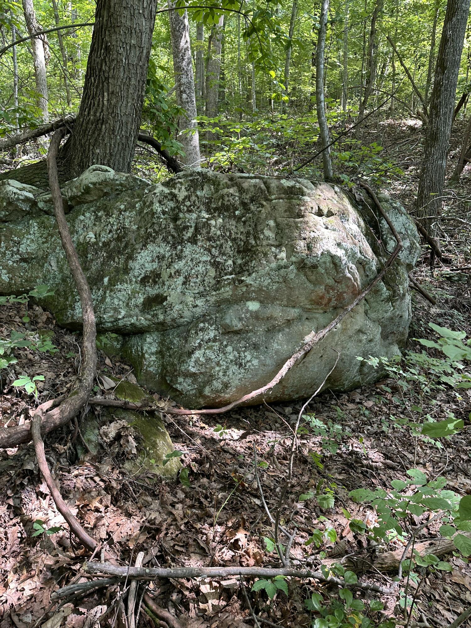 533 Gun Shop Road Dunlap, TN 37327 - Photo 49 of 52 IMG_9811