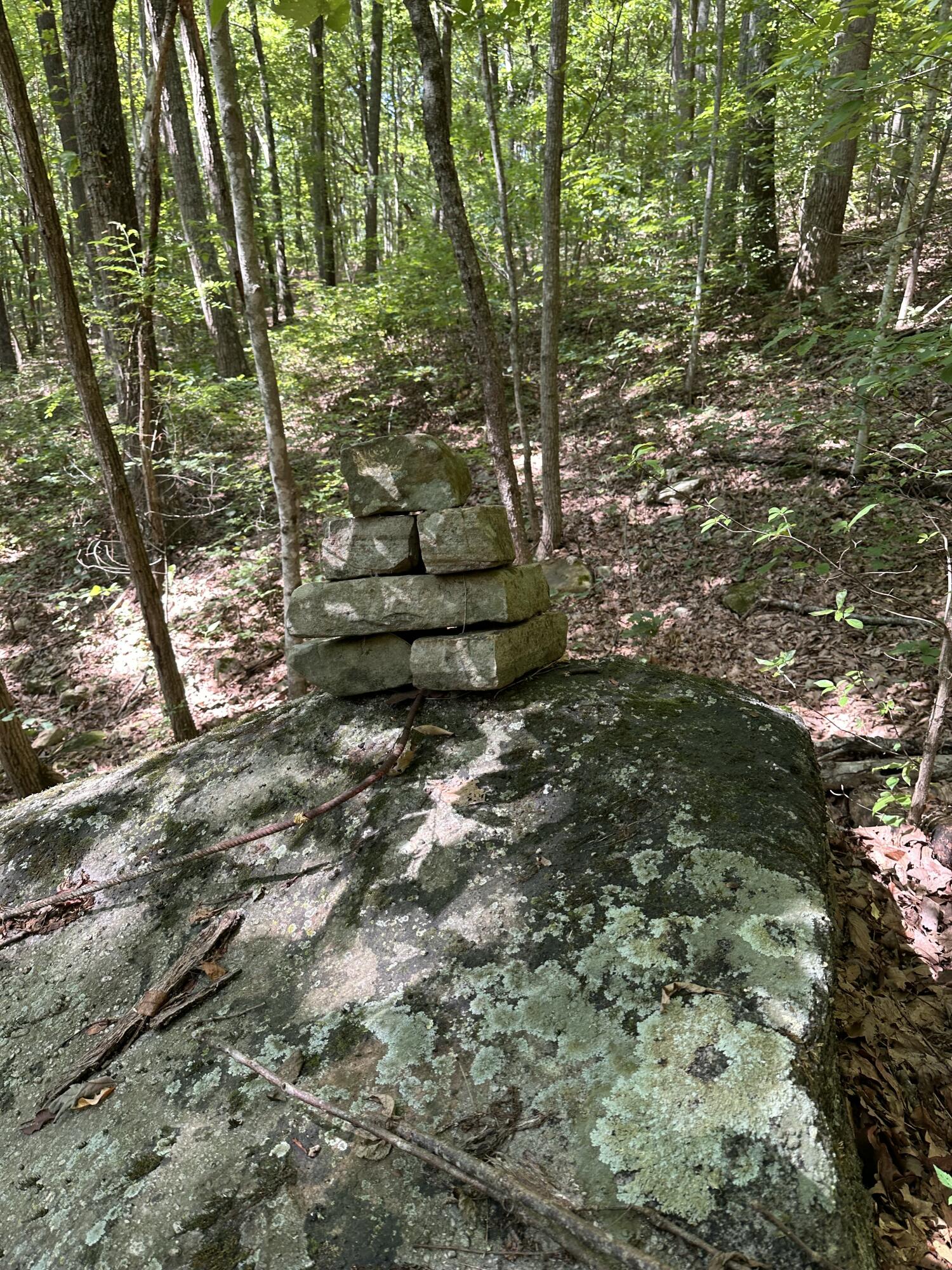 533 Gun Shop Road Dunlap, TN 37327 - Photo 50 of 52 IMG_9823