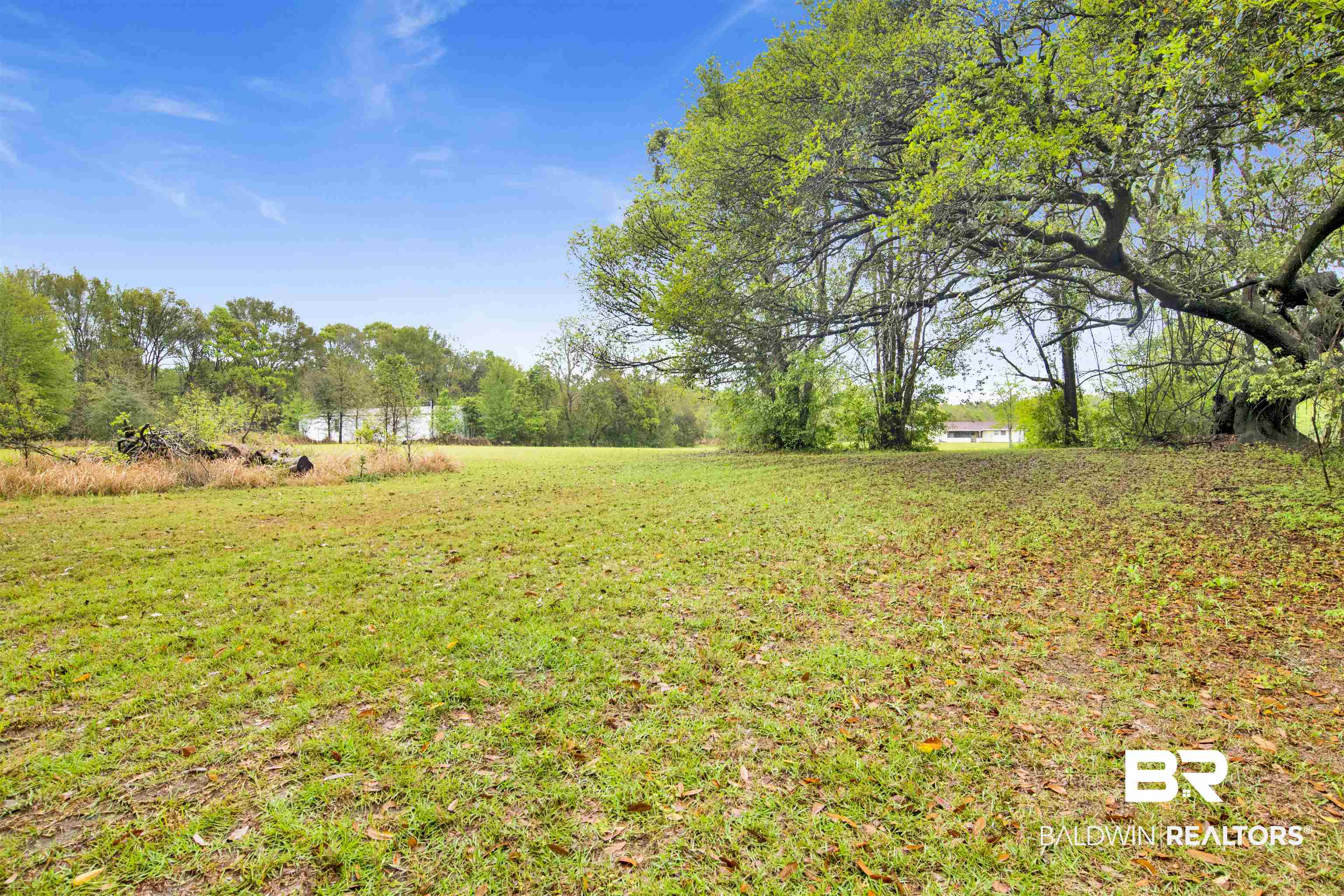 10244 Magnolia Road Irvington, AL 36544 - Photo 32 of 37 View of yard