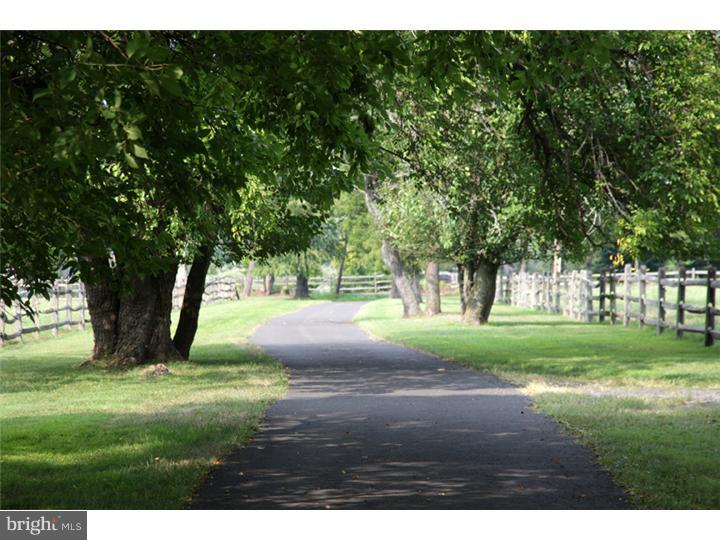 4600 Toll Gate Road New Hope, PA 18938 - Photo 17 of 22 Driveway