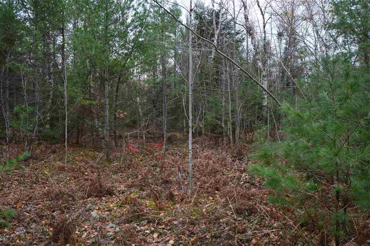Xxx Chamberlain Road Munising, MI 49862 - Photo 5 of 29 1894812-4.JPG
