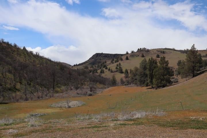 6930 Copco Road Hornbrook, CA 96044 - Photo 22 of 27 Gallery Image 22