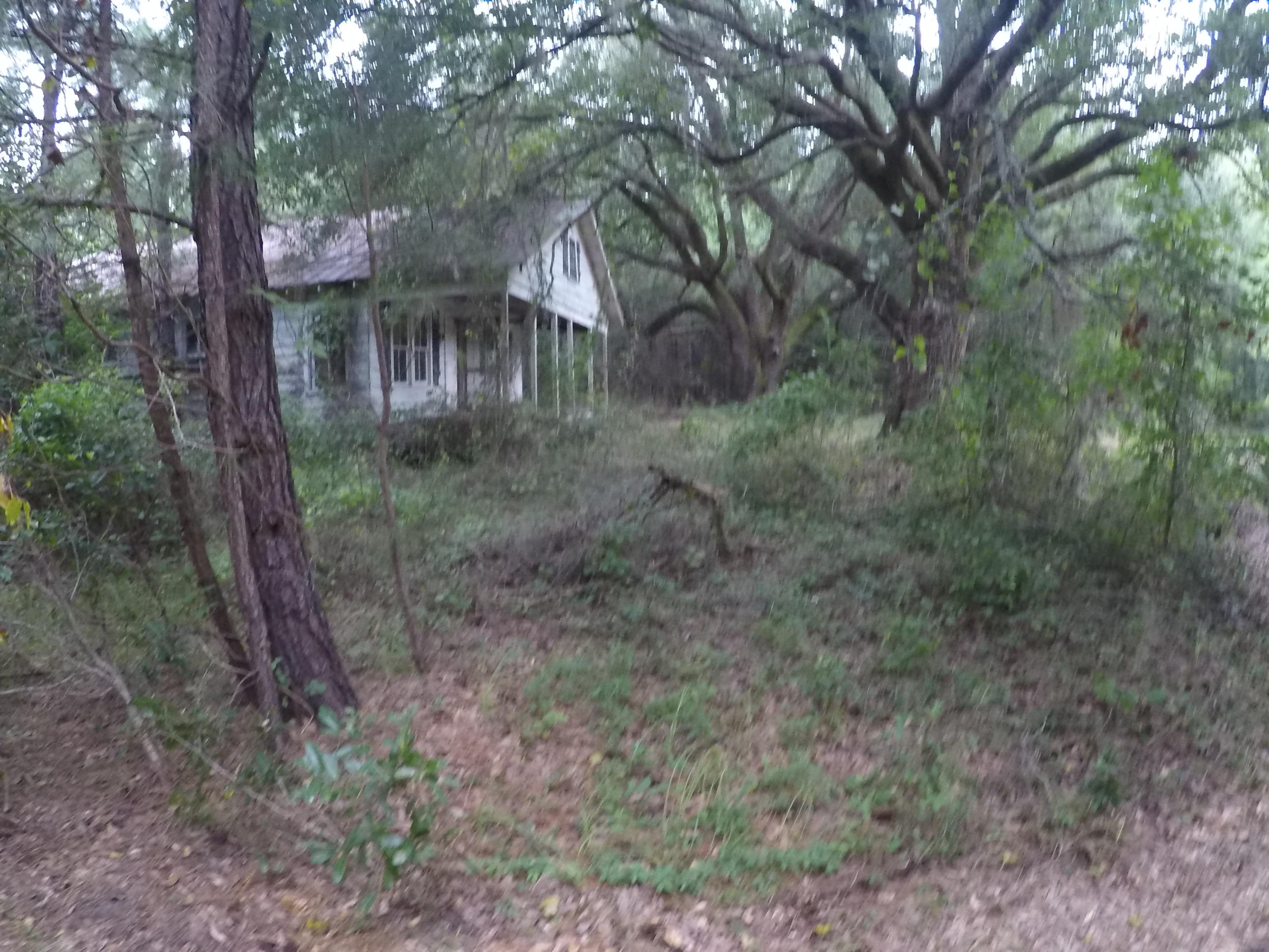 A Mt Carmel Road Ruffin, SC 29475 - Photo 3 of 6 GOPR0316