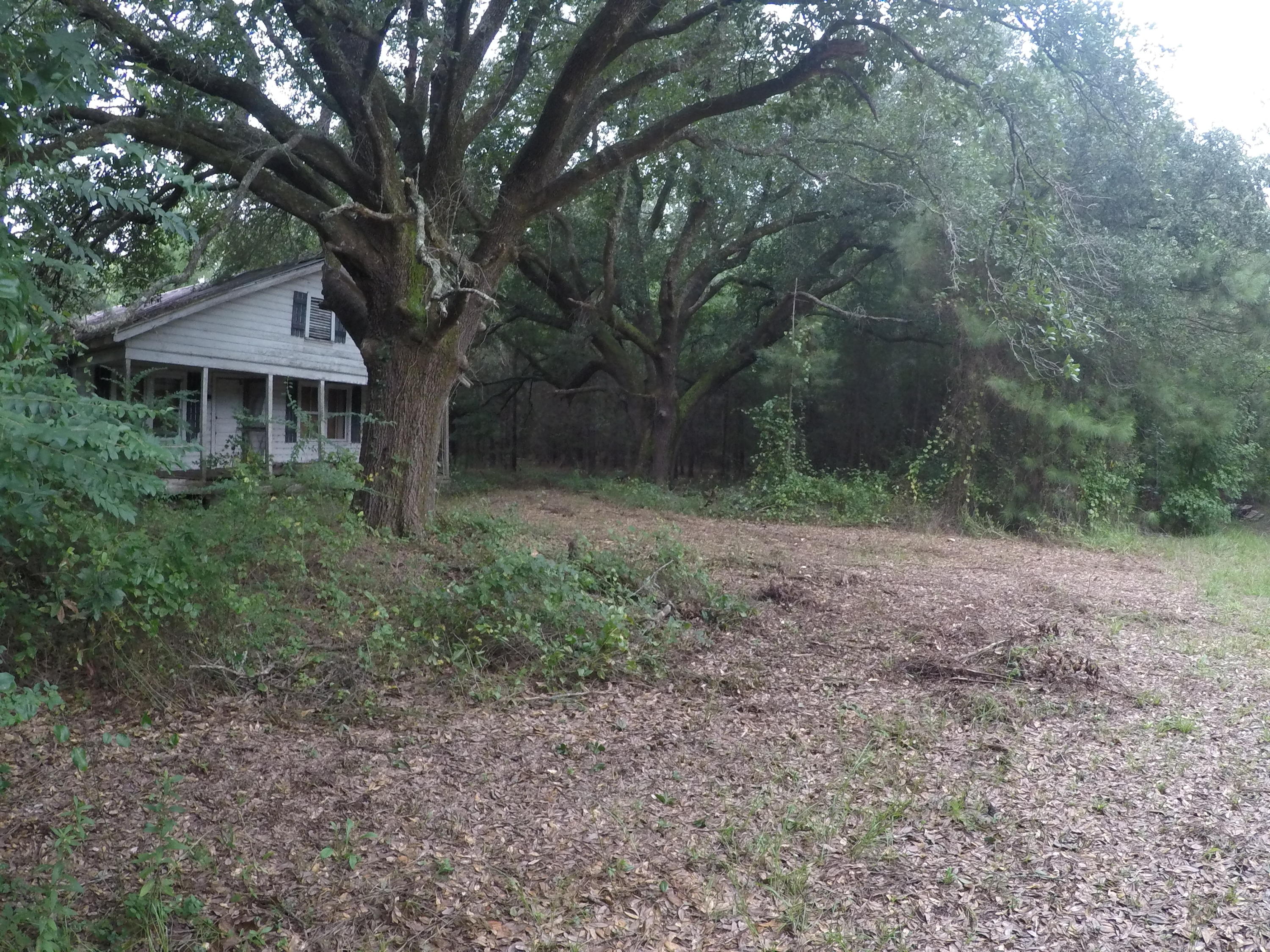 A Mt Carmel Road Ruffin, SC 29475 - Photo 5 of 6 GOPR0317
