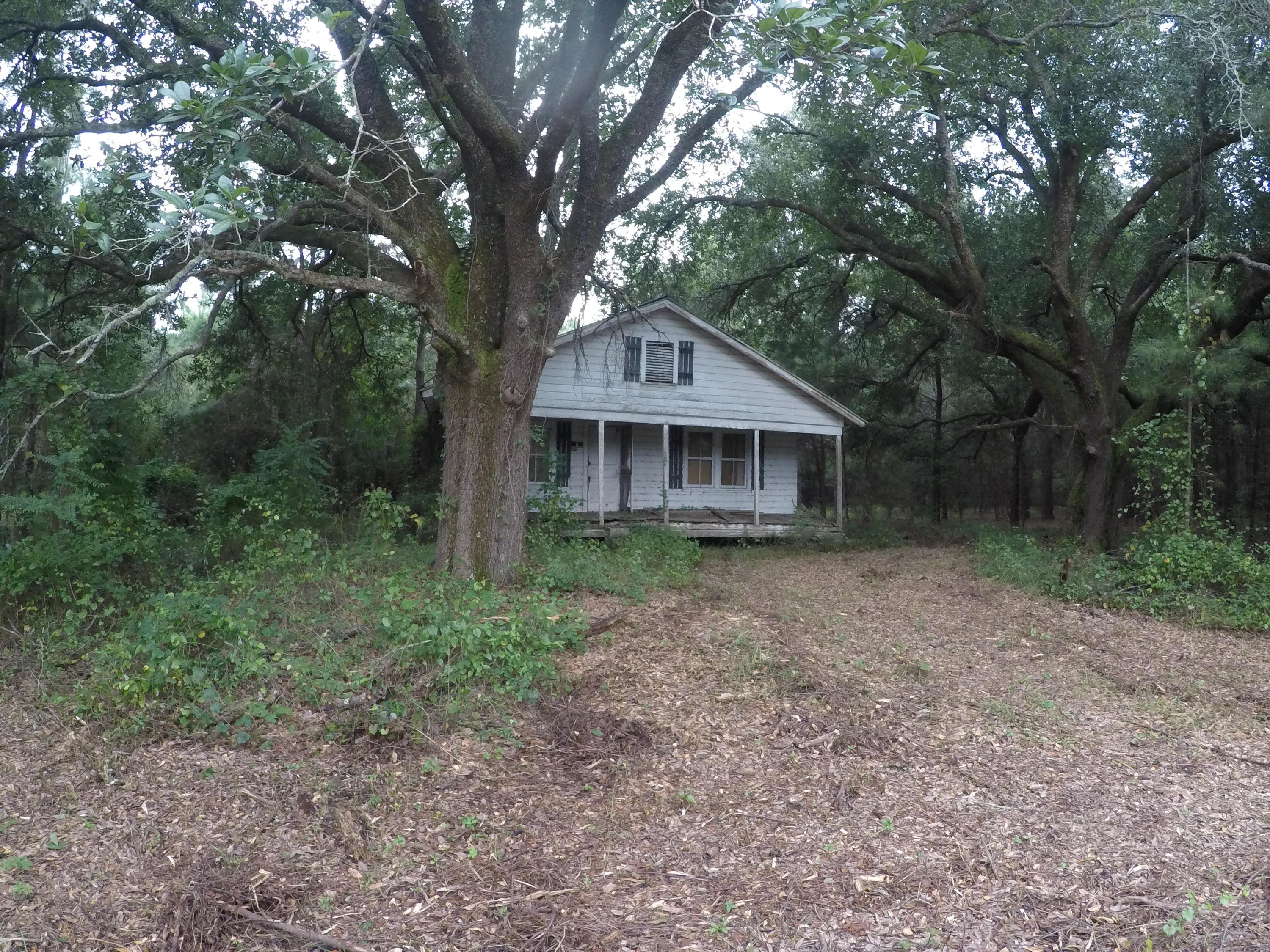 A Mt Carmel Road Ruffin, SC 29475 - Photo 6 of 6 GOPR0318
