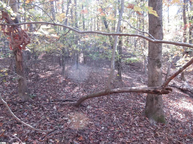 $18,900 | 107 North Foxglove Road, Westminster, SC 29693